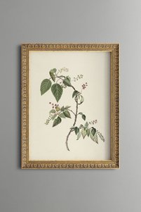Related product image epiqart Paintings