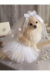 Related product image Barneystore Wedding Dress