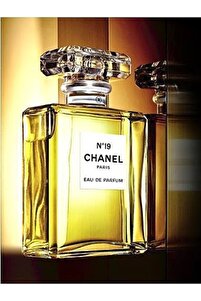 Chanel N°19 Kadınlara Özel Çiçeksi ve Odunsu Kokulu Eau De Parfum