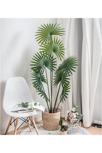Related product image sharpdo Indoor Plants