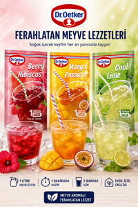 Dr. Oetker Berry Hibiskus&Cool Lime&Mango Passion 3x90 gr - Fiyatı