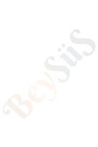 Related product image BeySüS Balloons