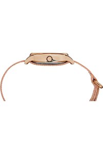 Related product image Timex Watches