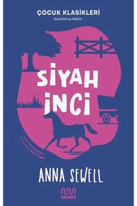 Related product image Türkiye İş Bankası Kültür Yayınları Novel