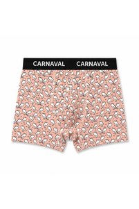 Related product image CARNAVAL SOCKS Boxer Shorts