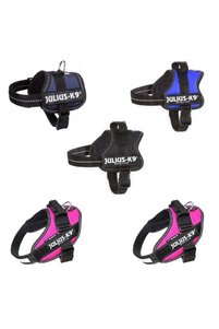 Related product image Julius Dog Clothes