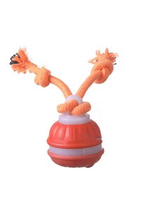 Related product image Choice Dog Toys