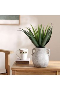 Related product image PAN HOME Indoor Plants