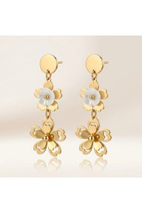 Related product image Siya Silver Steel Earrings