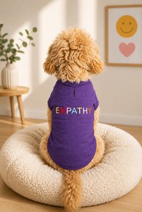 Related product image salya store Dog Clothes