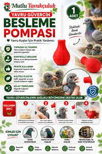 Related product image mutlu tavukçuluk Bird Feeders and Food Boxes