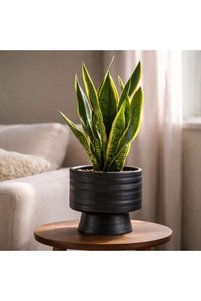 Related product image PAN HOME Flower Pot