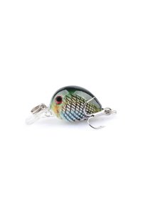 Related product image Choice Fish Lure