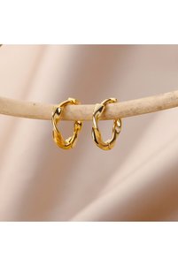 Related product image Choice Steel Earrings