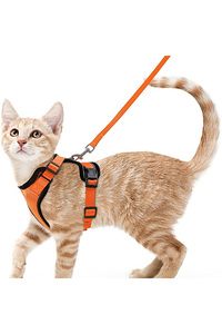 Related product image Choice Cat Collars