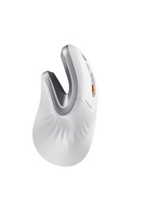 Related product image Choice Mouse