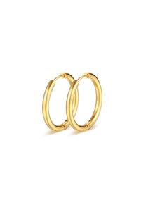 Related product image Choice Steel Earrings