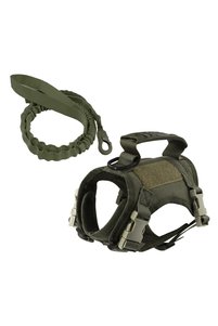 Related product image Choice Cat Collars