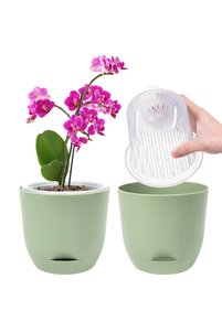 Related product image Choice Flower Pot
