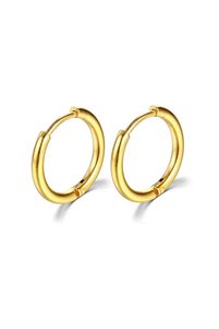 Related product image Choice Steel Earrings
