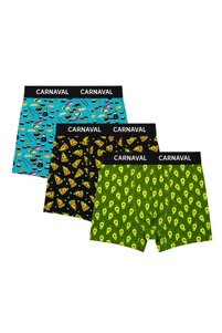 Related product image CARNAVAL SOCKS Boxer Shorts