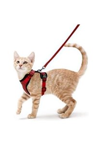 Related product image Choice Cat Collars