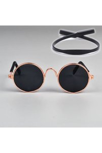 Related product image Choice Cat Accessories