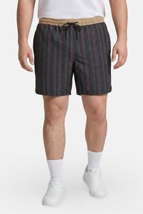 Related product image Stance Shorts