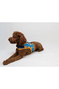 İlgili ürün resmi Buddy Store Köpek Tasması