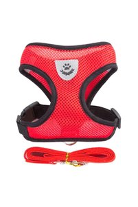 Related product image Choice Dog Collars