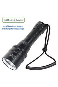 Related product image Choice Flashlight