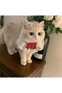 Related product image Choice Cat Collars