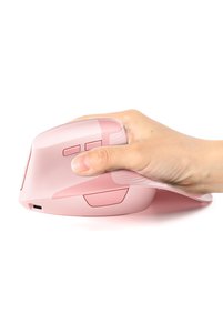 Related product image Choice Mouse