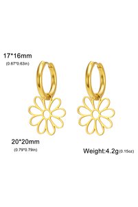 Related product image Choice Steel Earrings