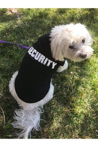 Related product image Choice Dog Clothes