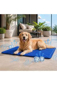 Related product image OEM Dog Accessories