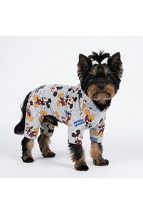 İlgili ürün resmi Buddy Store Köpek Kıyafeti