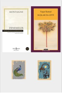 Related product image Türkiye İş Bankası Kültür Yayınları Novel