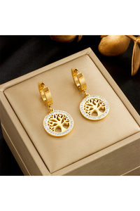 Related product image Choice Steel Earrings