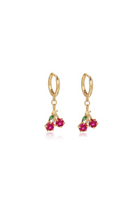 Related product image Choice Steel Earrings