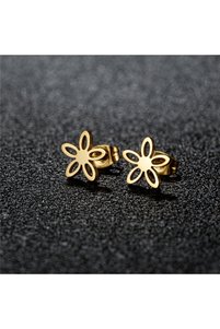 Related product image Choice Steel Earrings