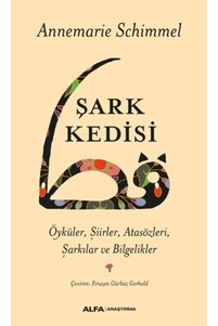 Related product image Alfa Yayınları Novel
