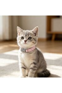 Related product image Cat Collars
