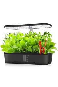 Related product image Choice Flower Pot