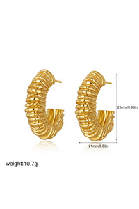 Related product image Choice Steel Earrings