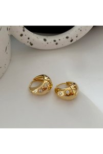 Related product image Choice Steel Earrings