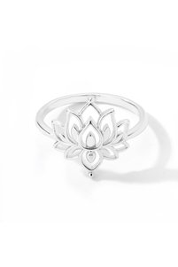 Related product image Choice Steel Rings