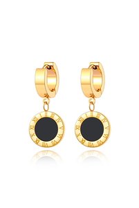 Related product image Choice Steel Earrings