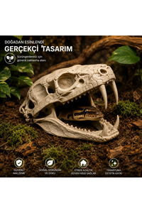 İlgili ürün resmi Sürüngen Aksesuarı