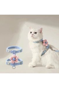 Related product image Choice Dog Collars